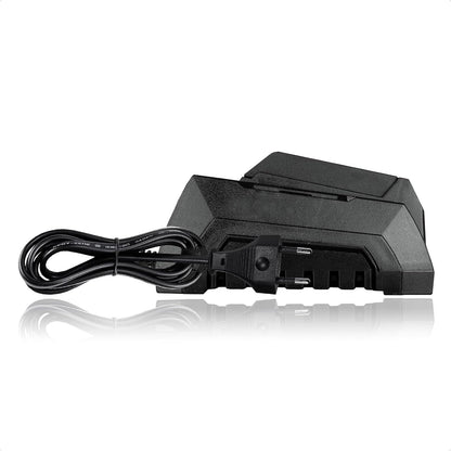 Werku WK403480 Cargador Rápido Baterías 20V 60W