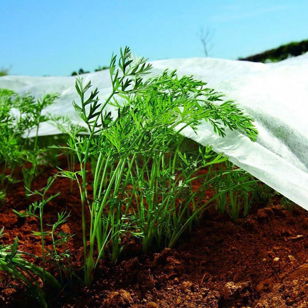 Tela de protección cultivos paño artic 4 x 10 m 30g/m²