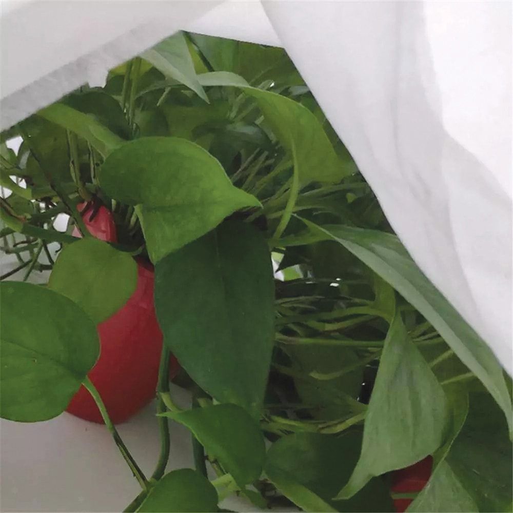 Tela de protección para cultivos-bobina 2 x 20 m 30gr/m²