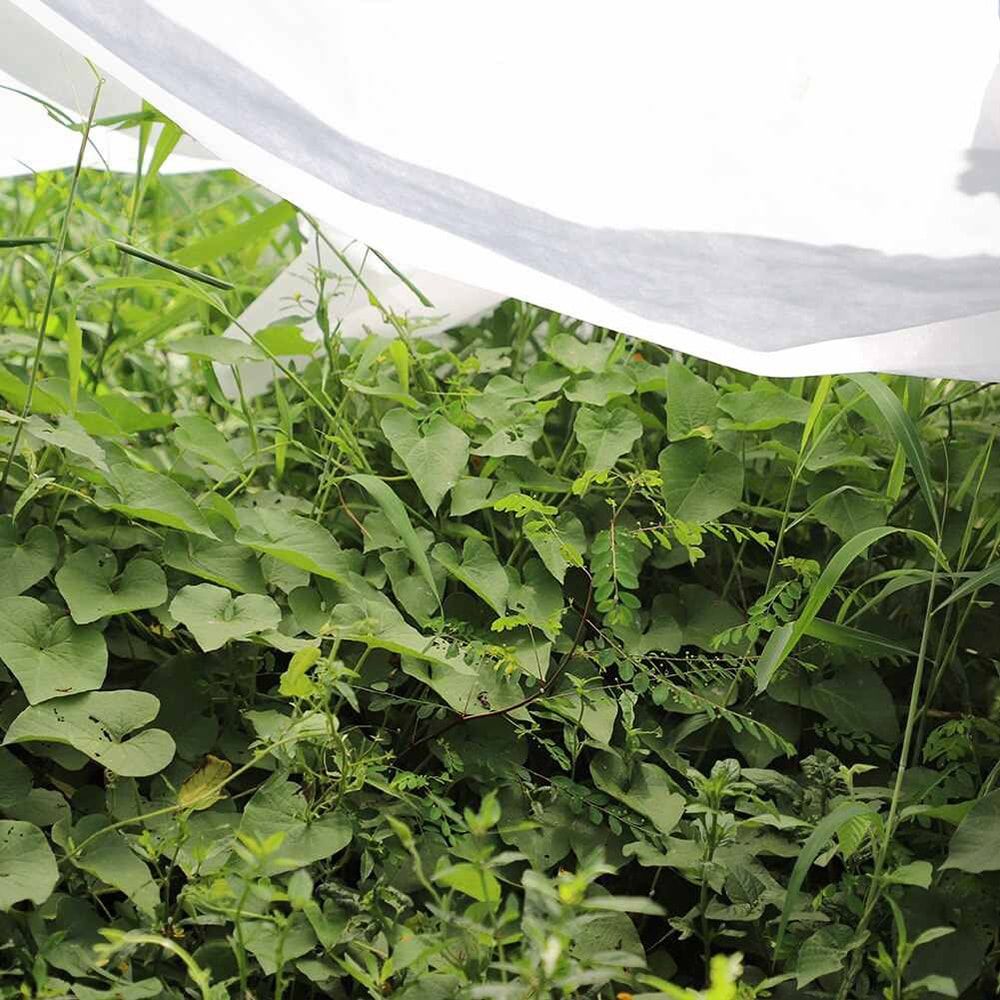 Tela de protección para cultivos-bobina 2 x 20 m 30gr/m²