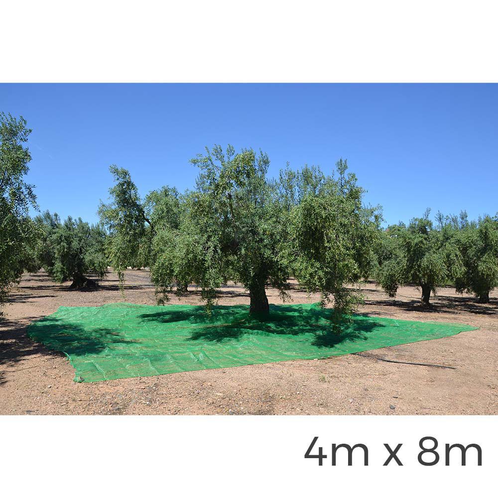 Manto para recolecta de frutos 4 x 8 m color verde