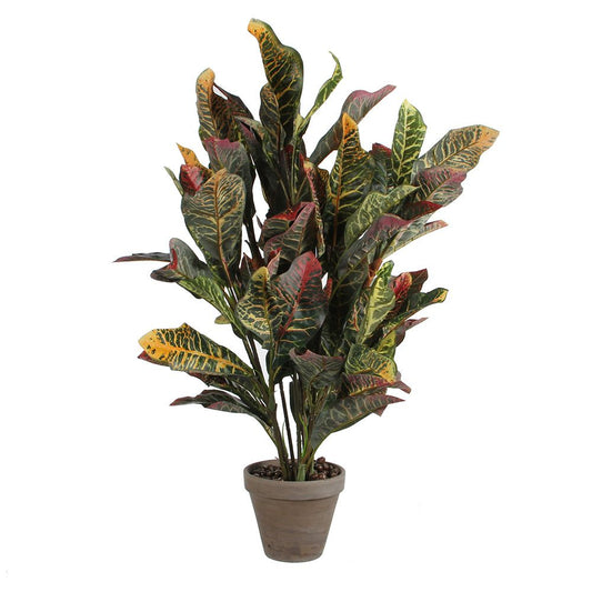 Maceta croton verde, 73 x 40 cm