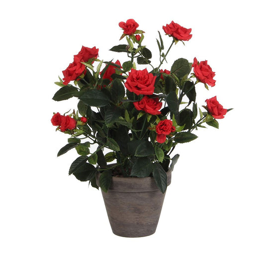 Maceta de rosal rojo, ø11,5 x 33 x 25 cm