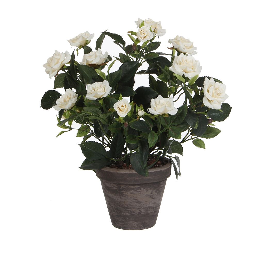 Maceta de rosal blanco, ø11,5 x 33 x 25 cm