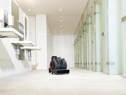 Soplador secador Viper SECADOR MOQUETA BV3-EU 250W