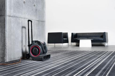 Soplador secador Viper SECADOR MOQUETA BV3-EU 250W