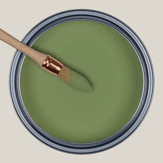 Bote de pintura Ressource Wasabi eqER05