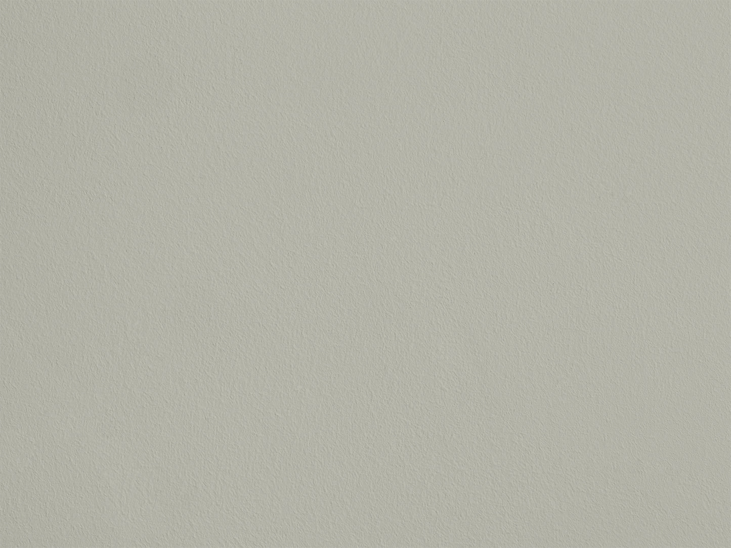 Glèbe Cendrée eqER23 — Colección Couleurs d'Enduit Romain