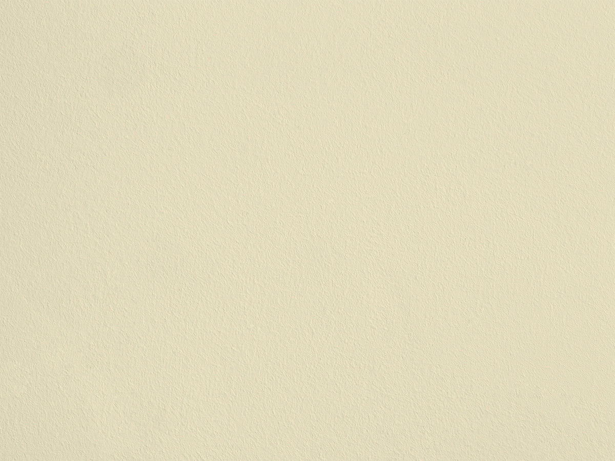 Lionceau eqER47 — Colección Couleurs d'Enduit Romain