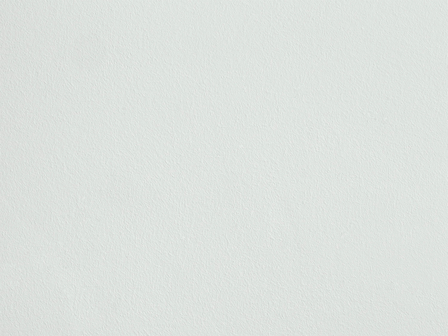 P'tit Gris eqER58 — Colección Couleurs d'Enduit Romain