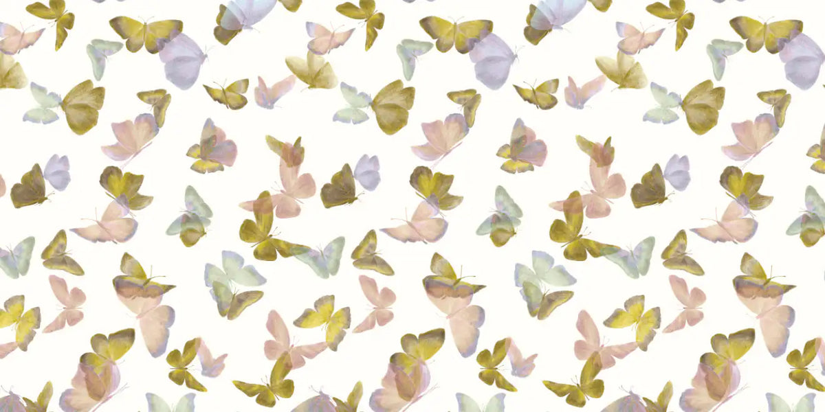 Battements D'Ailes BDA01 — papel pintado Ressource Sauvage