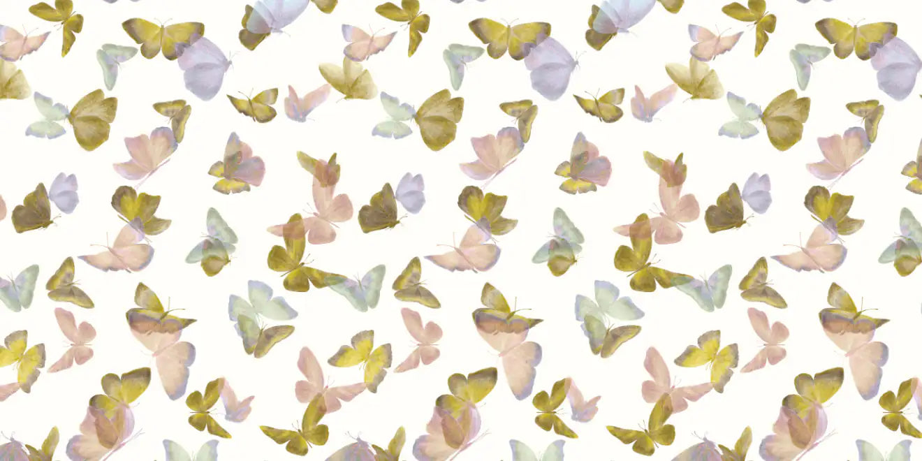 Battements D'Ailes BDA01 — papel pintado Ressource Sauvage
