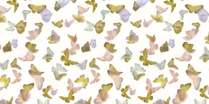 Battements D'Ailes BDA01 — papel pintado Ressource Sauvage