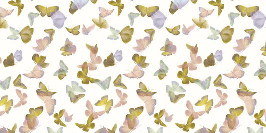 Battements D'Ailes BDA01 — papel pintado Ressource Sauvage