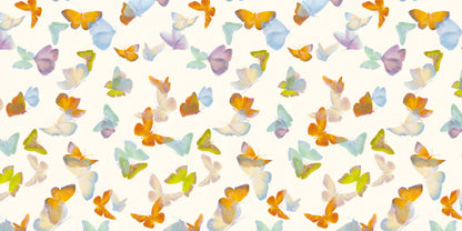 Battements D'Ailes BDA03 — papel pintado Ressource Sauvage