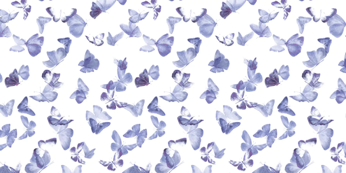 Battements D'Ailes BDA06 — papel pintado Ressource Sauvage