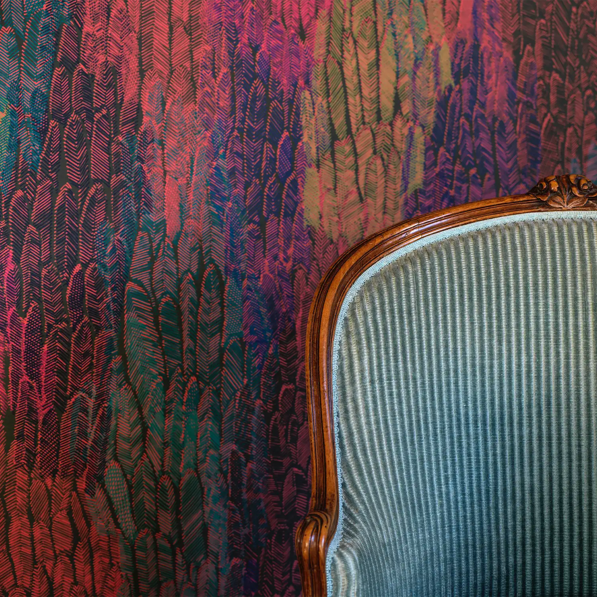 Plumage PL01 en ambiente