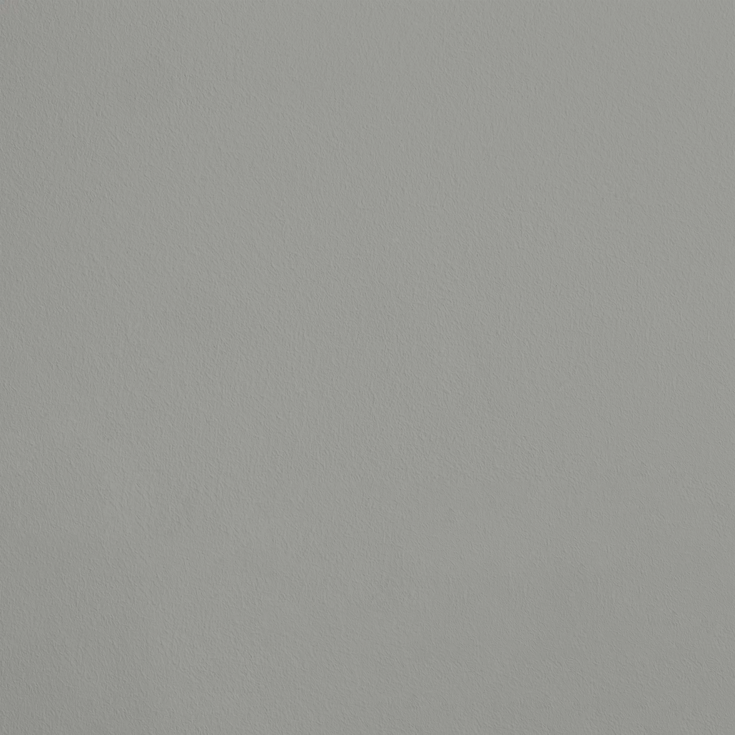 Le Régal R018 aplicado en pared — Ressource