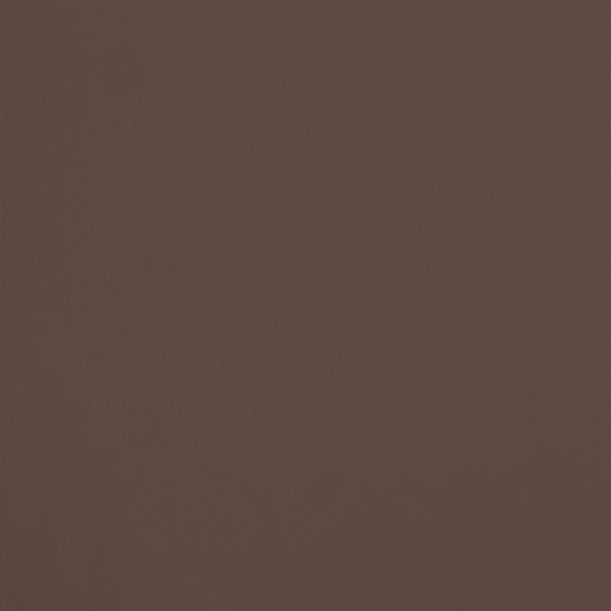 Le Bandit R019 aplicado en pared — Ressource