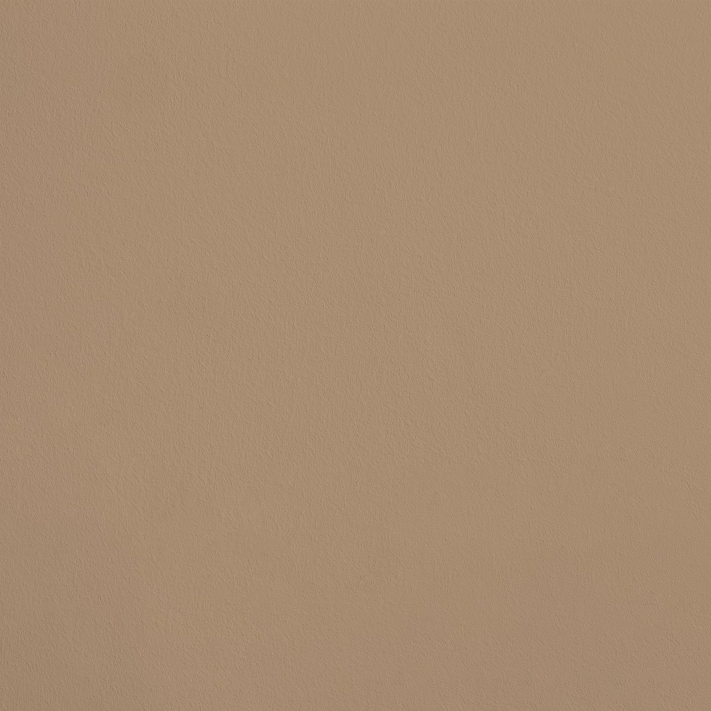 Le Portrait R137 aplicado en pared — Ressource