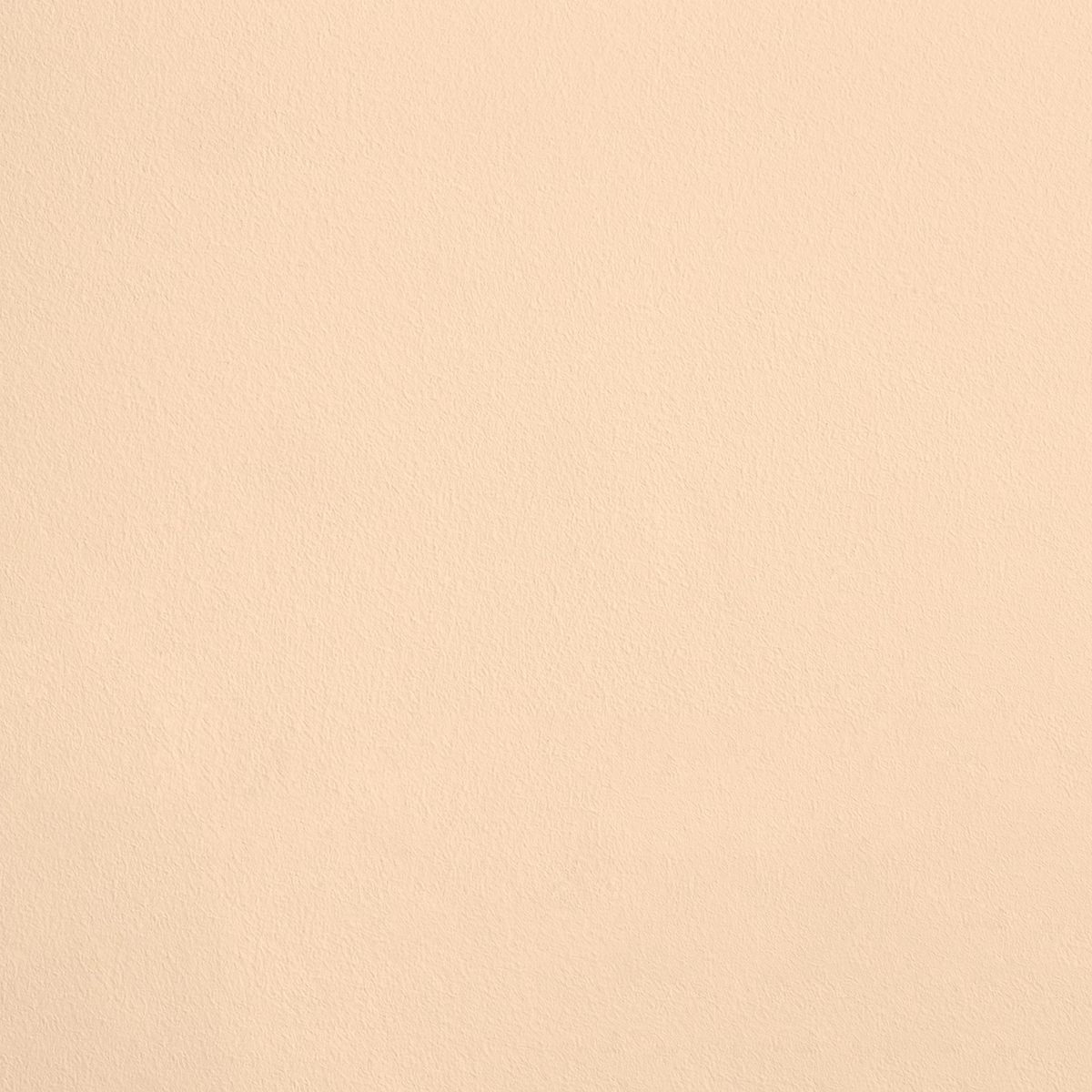 Le Dessert R141 aplicado en pared — Ressource