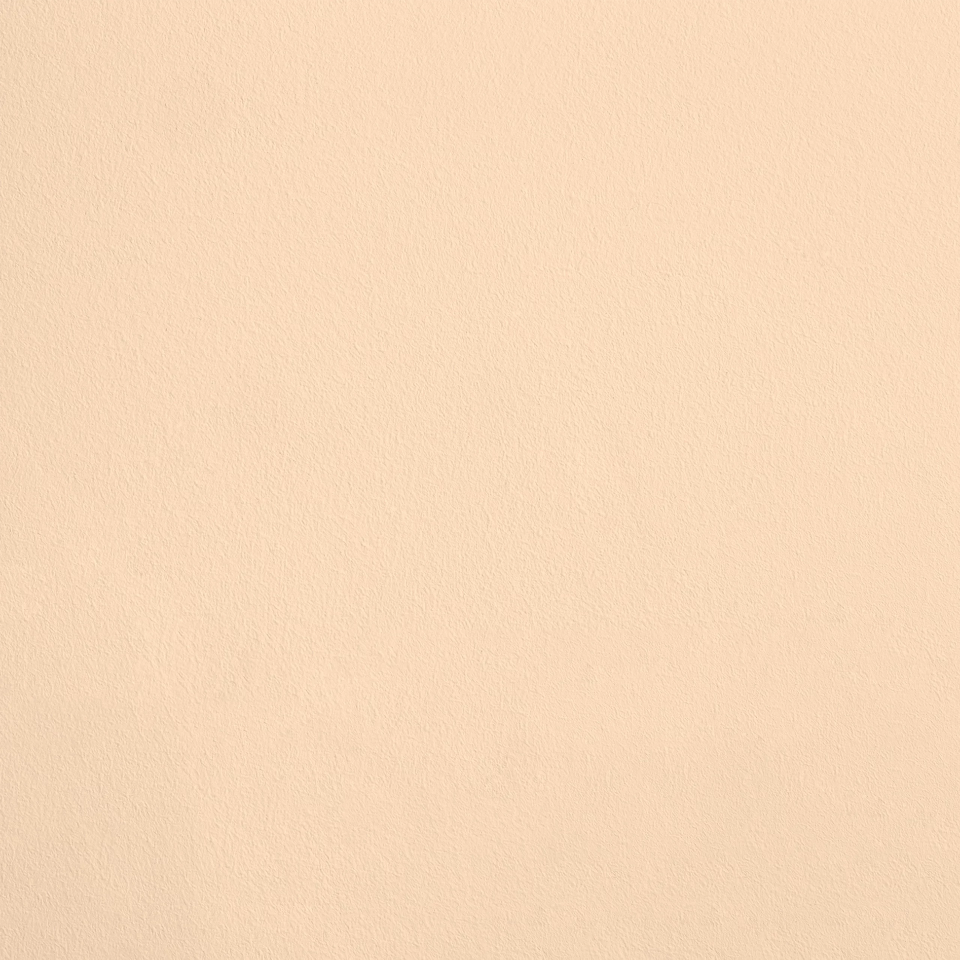 Le Dessert R141 aplicado en pared — Ressource