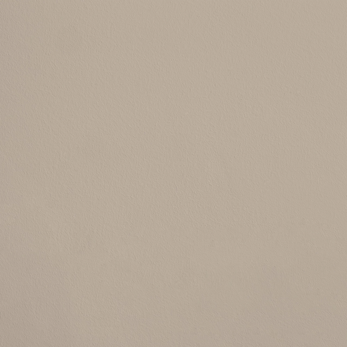 La Délicatesse R143 aplicado en pared — Ressource