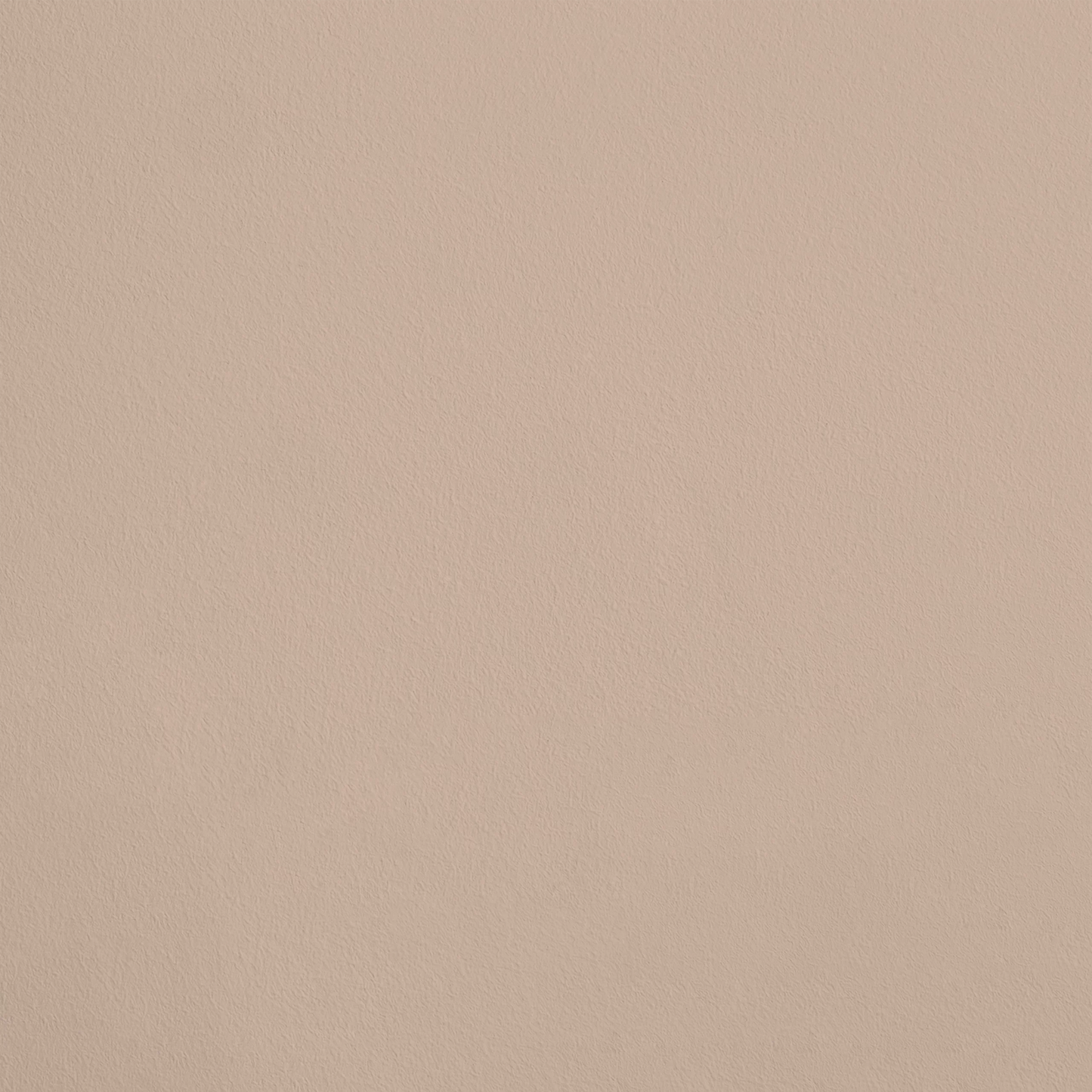 La Jouvencelle R151 aplicado en pared — Ressource
