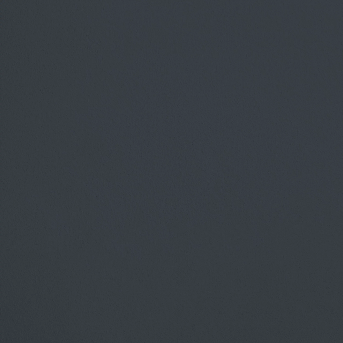 Le Mirliflore R152 aplicado en pared — Ressource