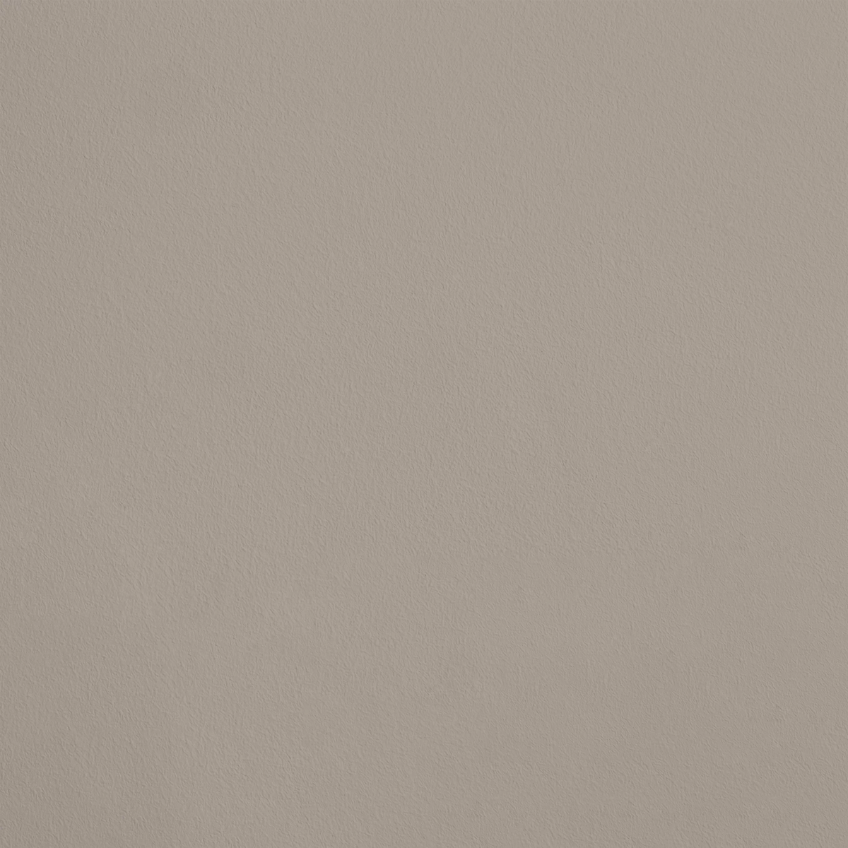Le Camarade R170 aplicado en pared — Ressource