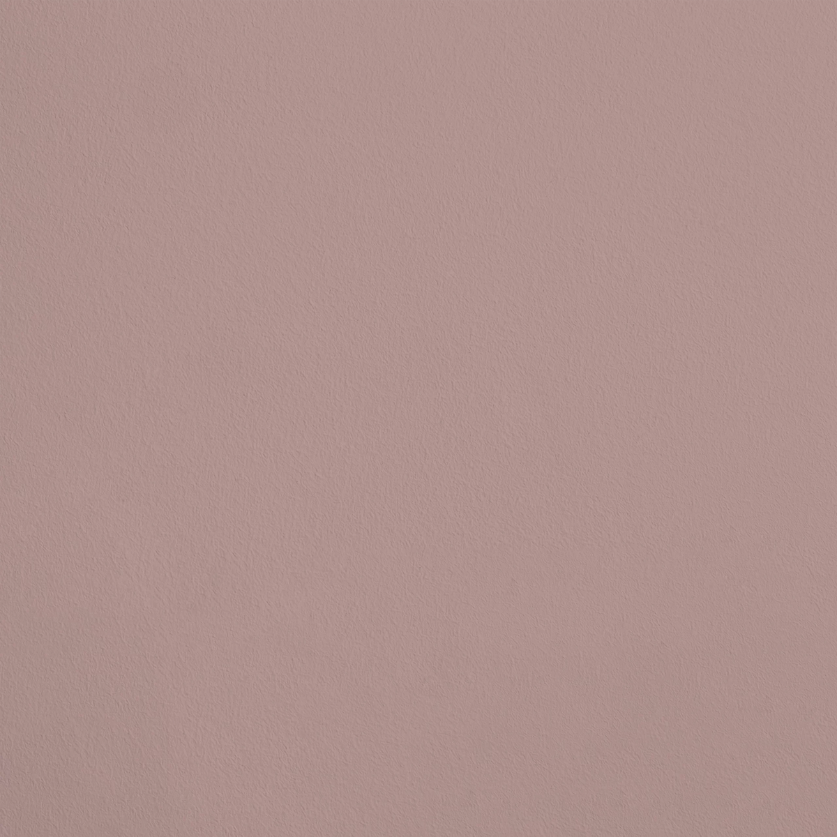 La Marquise R171 aplicado en pared — Ressource