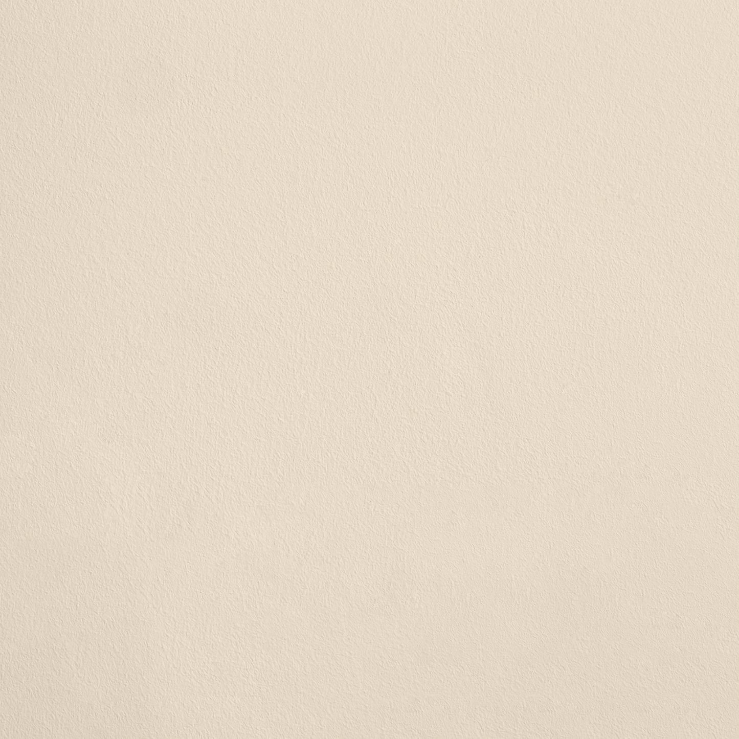 L'Agar-Agar R222 aplicado en pared — Ressource