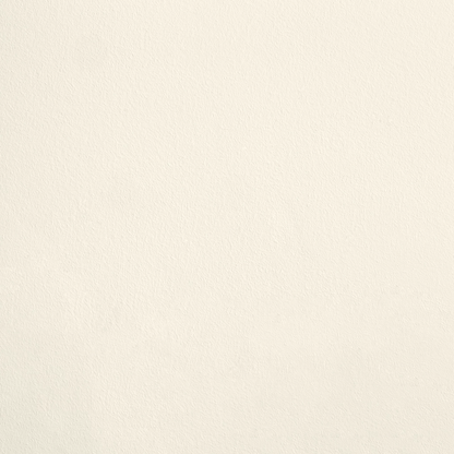 Le Cygne R238 aplicado en pared — Ressource