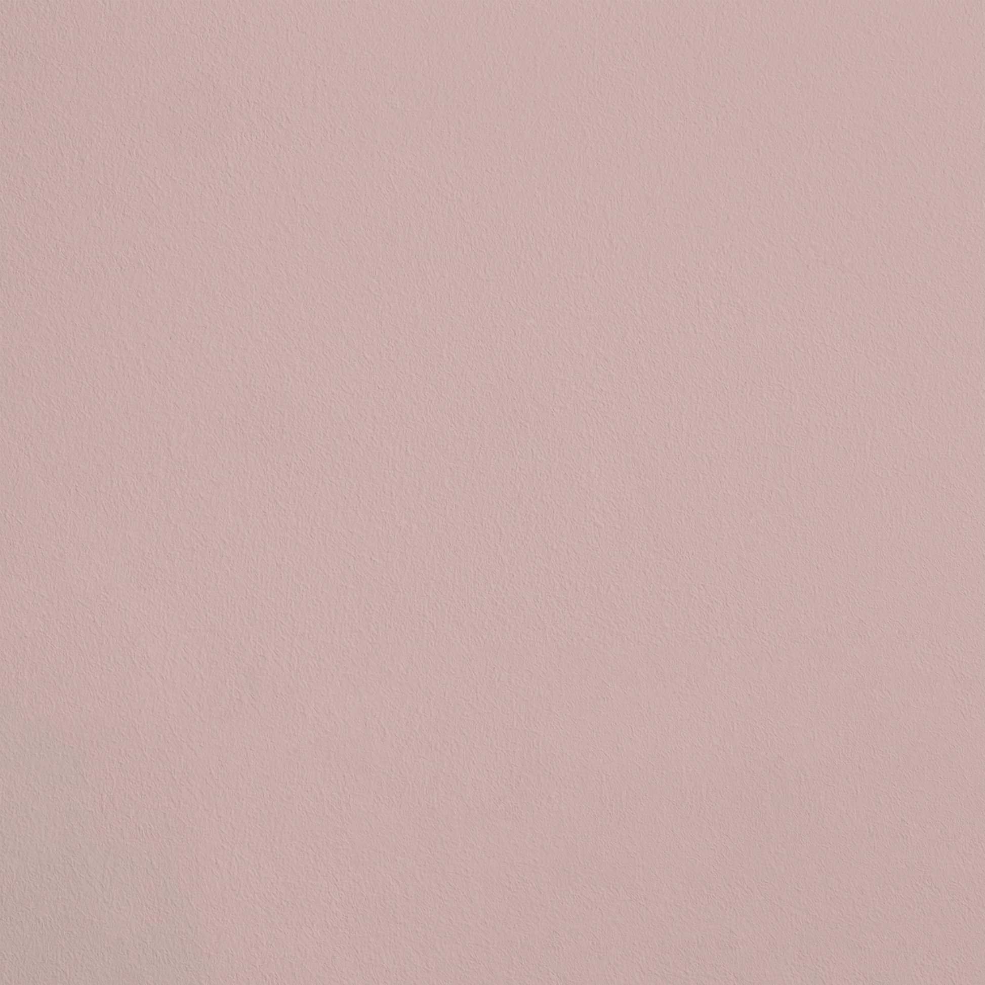 La Frimousse R251 aplicado en pared — Ressource