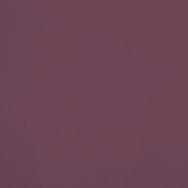 L'Extase R254 aplicado en pared — Ressource