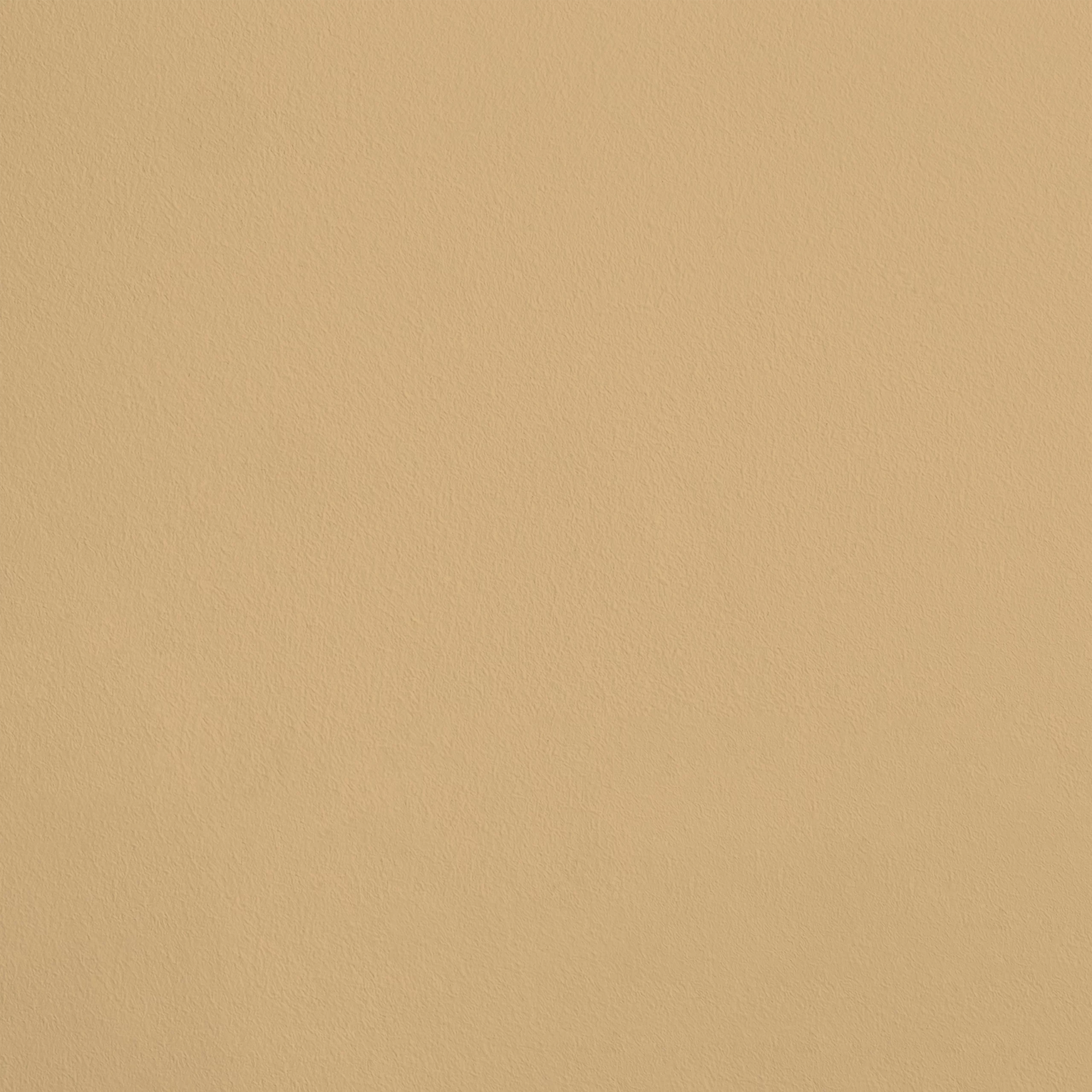 La Bourgeoise R261 aplicado en pared — Ressource