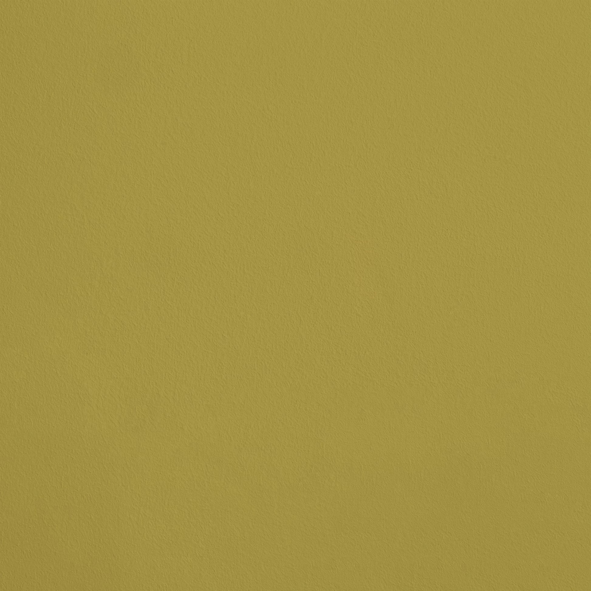 L'Euphorbe R264 aplicado en pared — Ressource