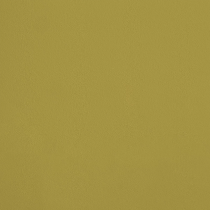 L'Euphorbe R264 aplicado en pared — Ressource