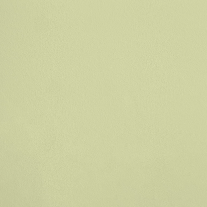 L'Antidote R271 aplicado en pared — Ressource