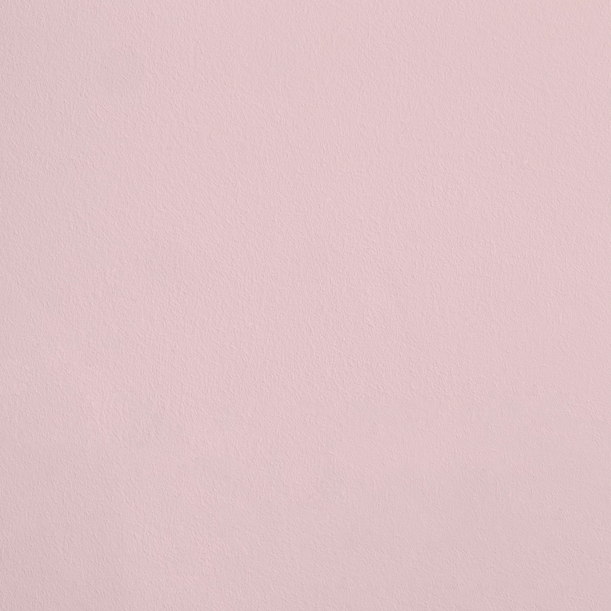 La Timidité R276 aplicado en pared — Ressource