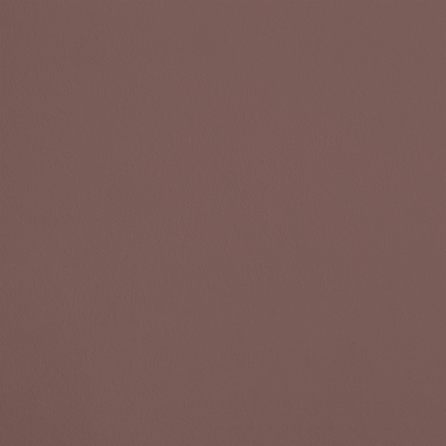 La Rencontre R278 aplicado en pared — Ressource