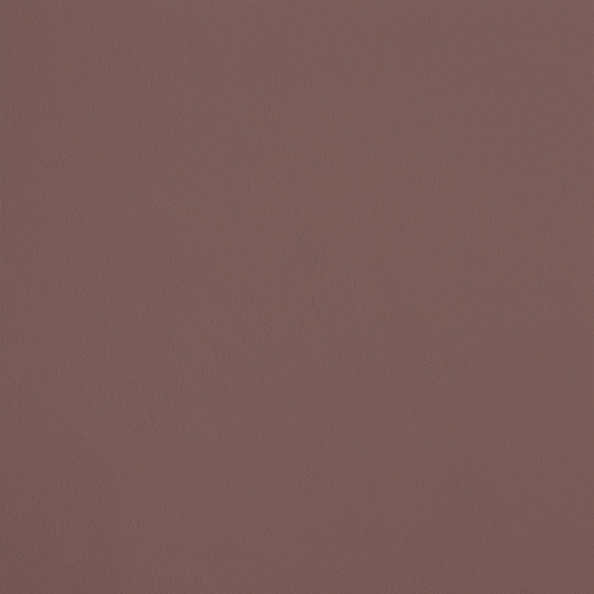 La Rencontre R278 aplicado en pared — Ressource
