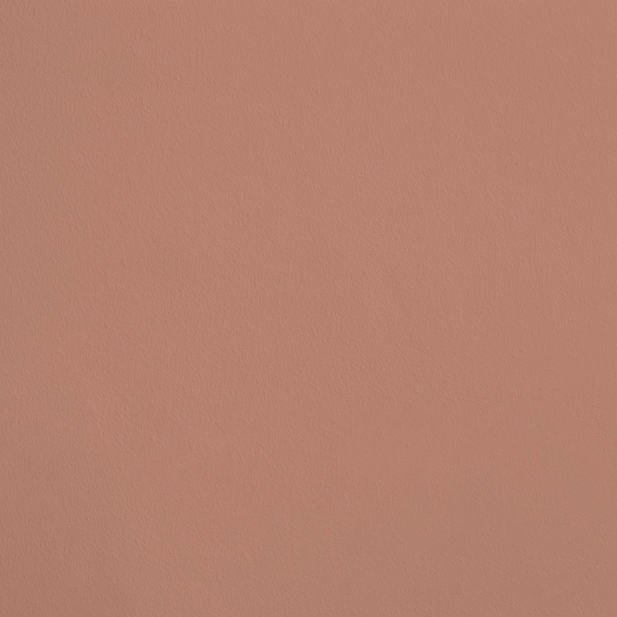 La Nèfle R283 aplicado en pared — Ressource