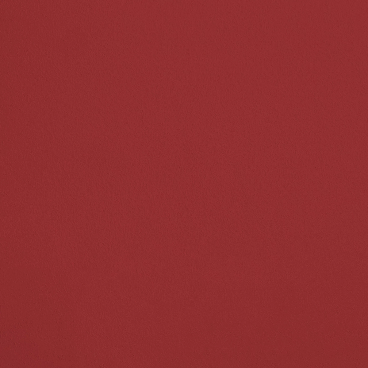 Le Plaisir R287 aplicado en pared — Ressource