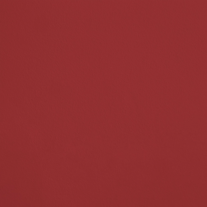 Le Plaisir R287 aplicado en pared — Ressource