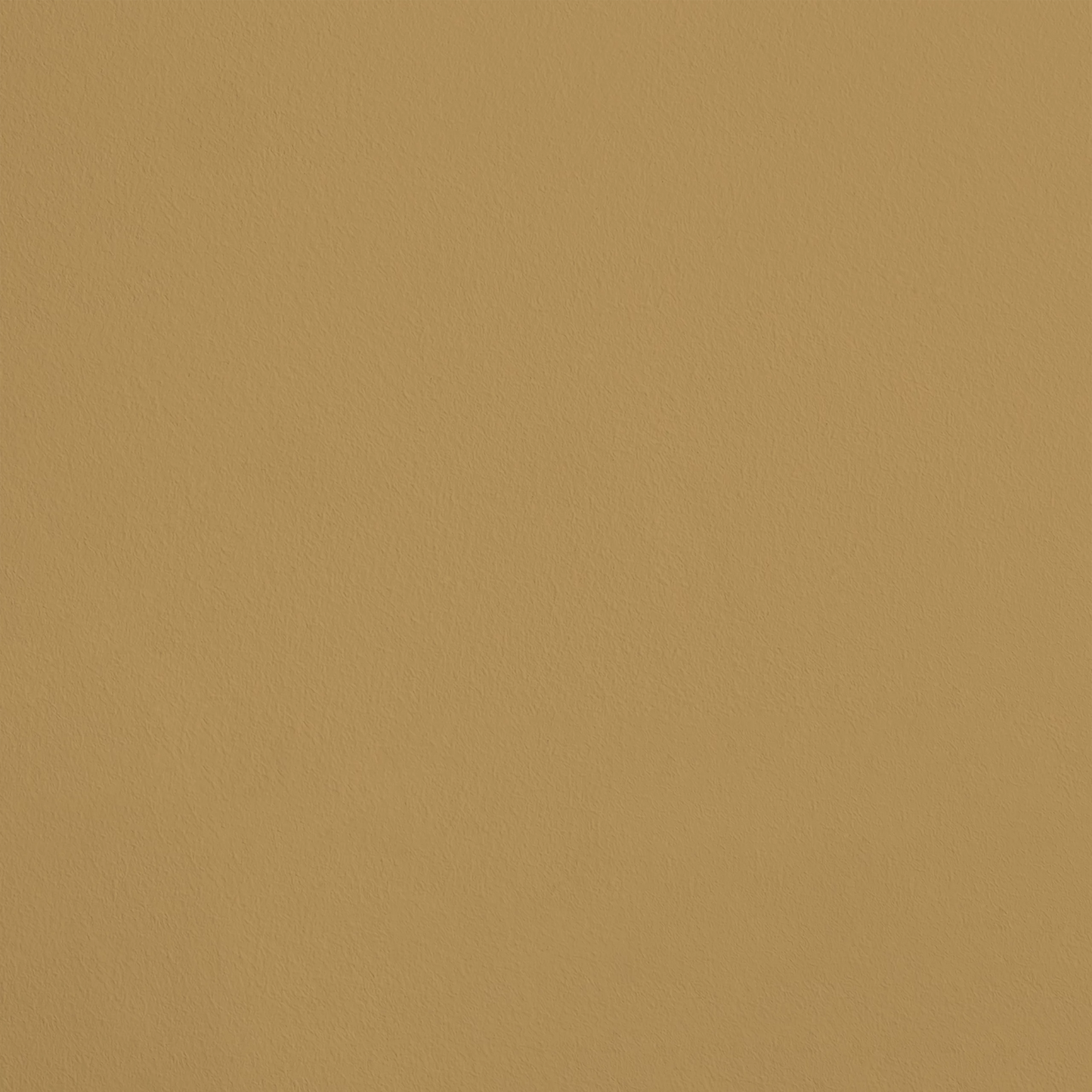 L'Humaniste R288 aplicado en pared — Ressource