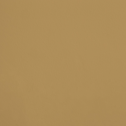 L'Humaniste R288 aplicado en pared — Ressource