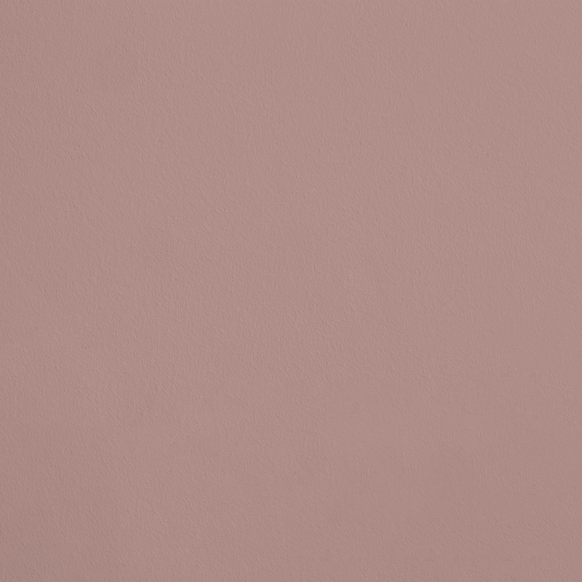 La Courtoisie R292 aplicado en pared — Ressource