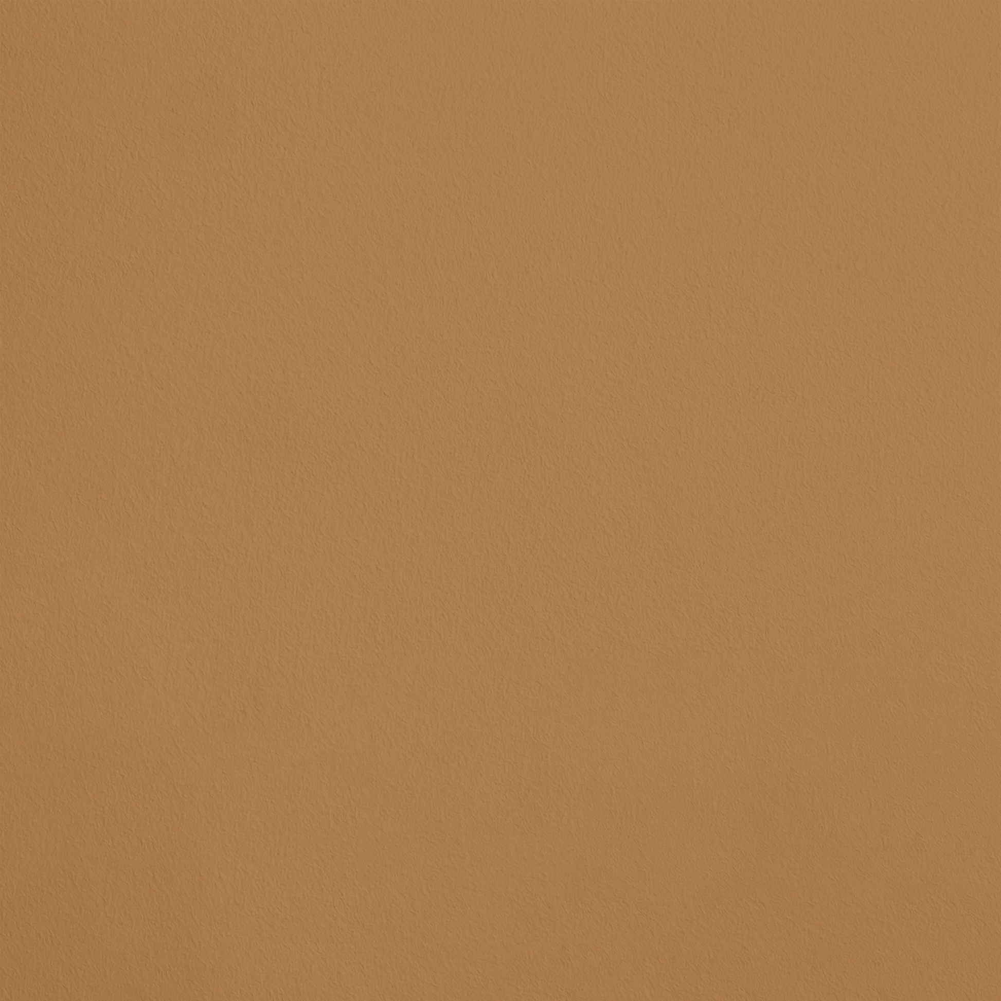 Le Nectar R307 aplicado en pared — Ressource