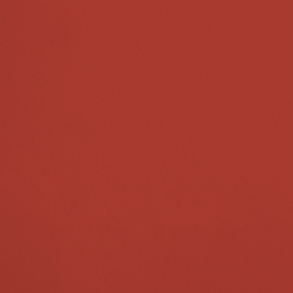 L'Amuse-Bouche R313 aplicado en pared — Ressource